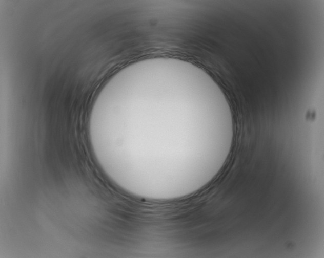 X0000114140276200910081033