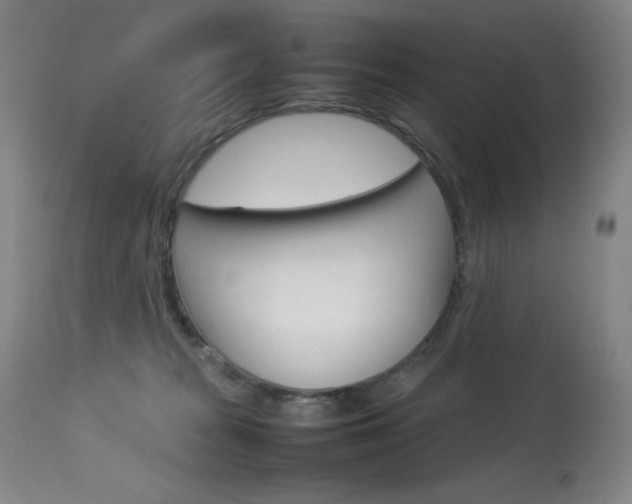 X0000114140277200910081033