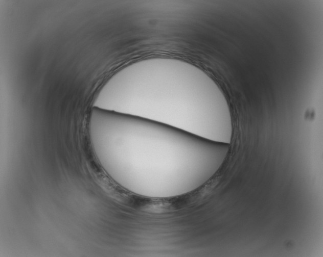 X0000114140278200910081033