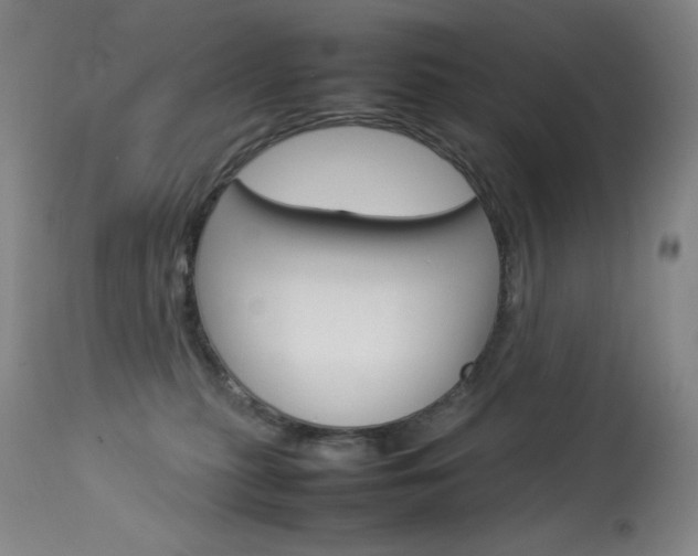 X0000114140279200910081033