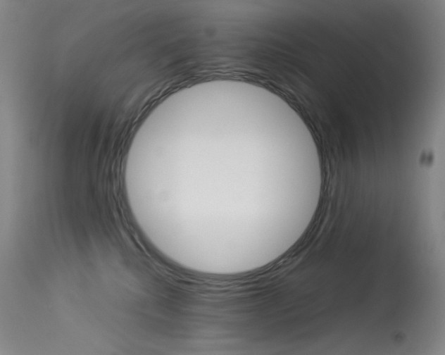 X0000114140280200910081033