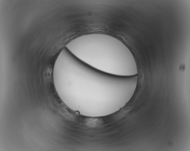 X0000114140281200910081033