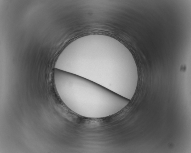 X0000114140282200910081033