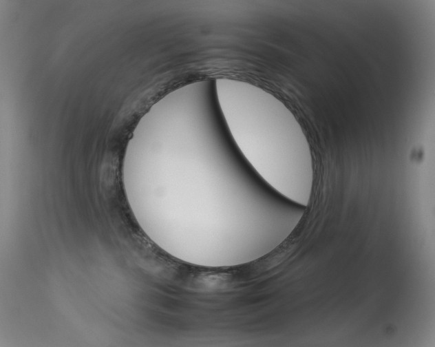 X0000114140283200910081033