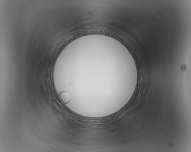 X0000114140284200910081033