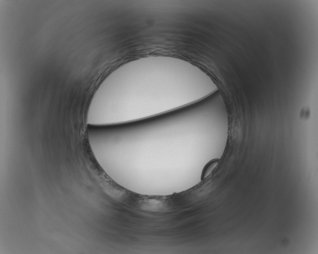 X0000114140285200910081033