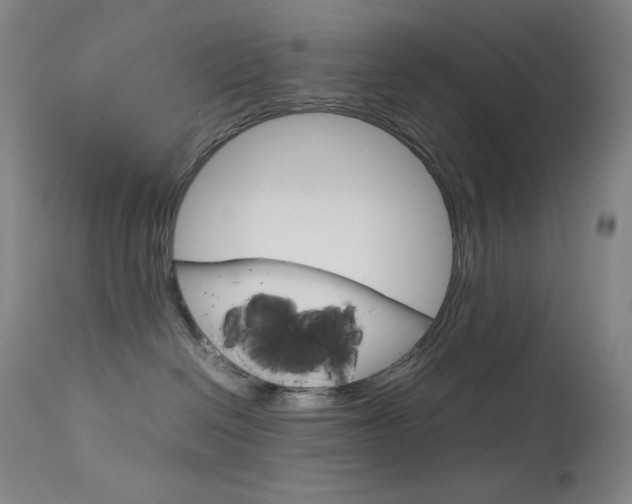 X0000114140286200910081033