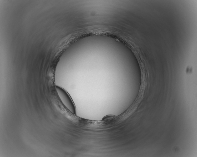 X0000114140288200910081033