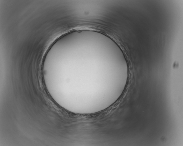 X0000114140289200910081033