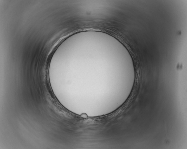 X0000114140290200910081033