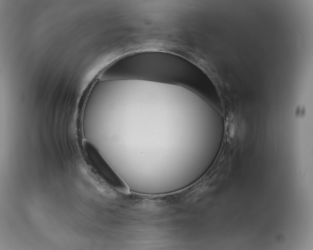 X0000114140292200910081033