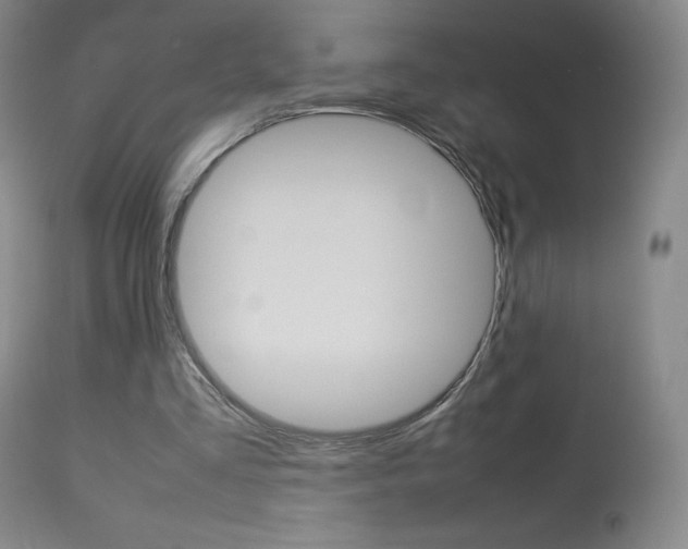 X0000114140293200910081033