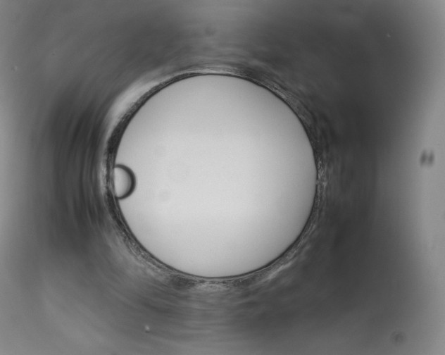 X0000114140294200910081033