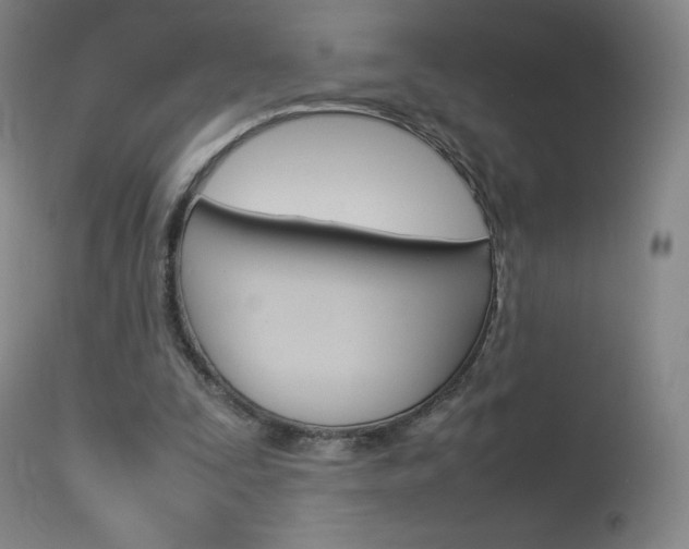 X0000114140295200910081033