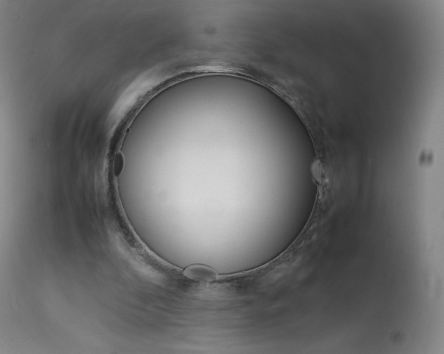 X0000114140296200910081033