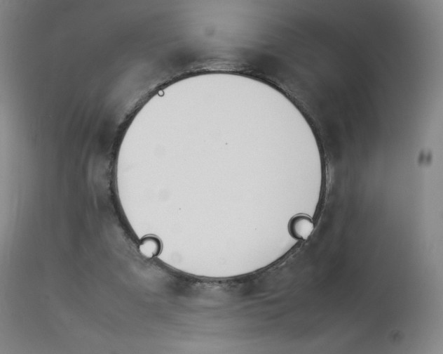 X0000114140297200910081033