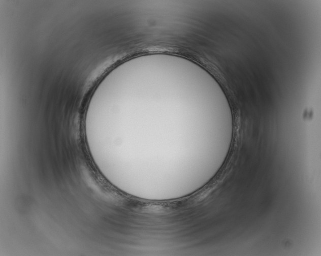 X0000114140298200910081033