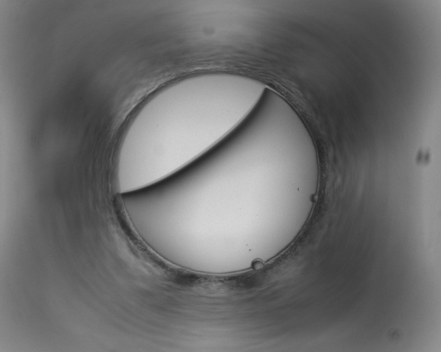 X0000114140299200910081033