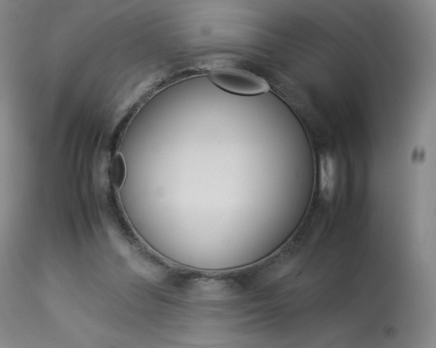 X0000114140300200910081032