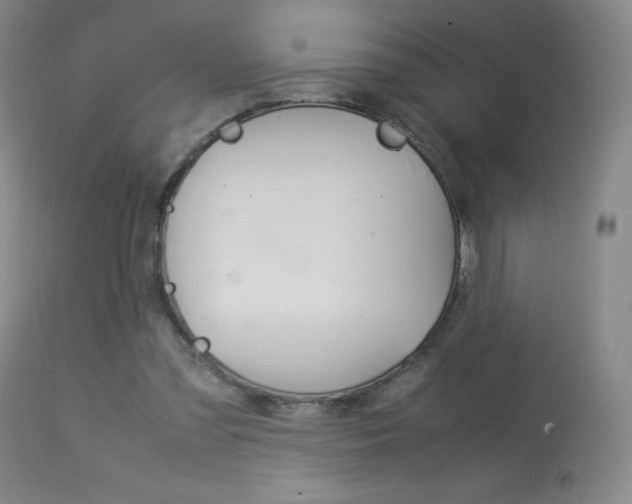 X0000114140301200910081032