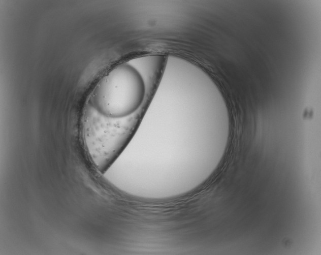 X0000114140303200910081032