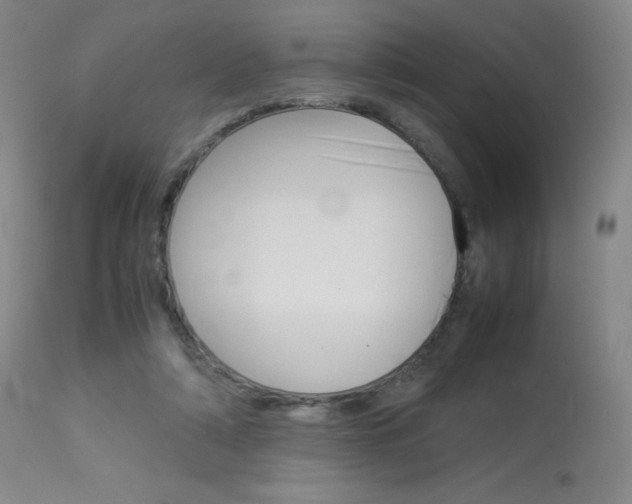 X0000114140306200910081032