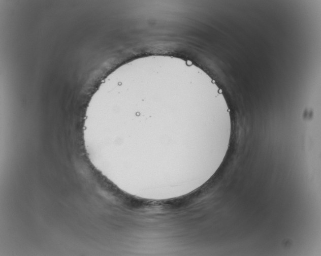 X0000114140307200910081032