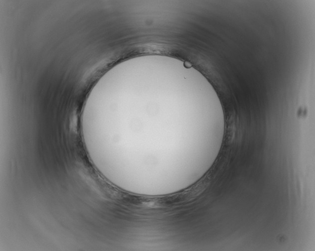 X0000114140310200910081032