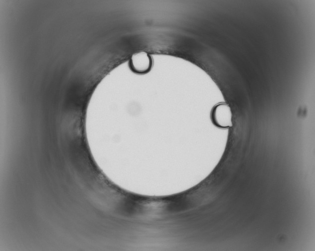 X0000114140313200910081032