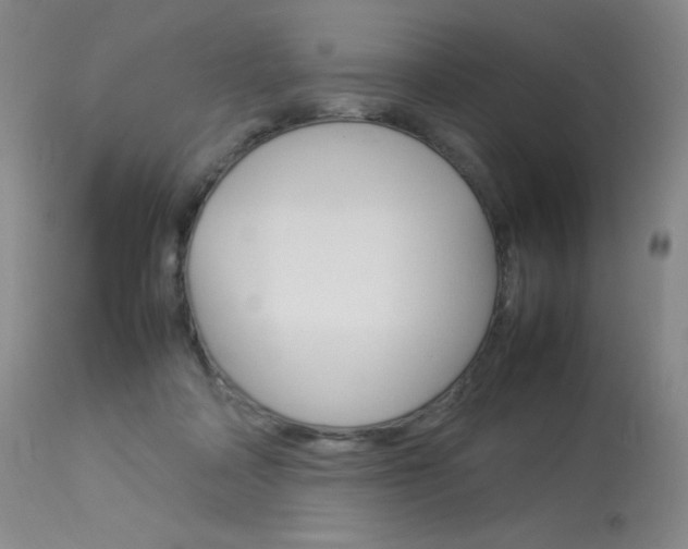 X0000114140314200910081032