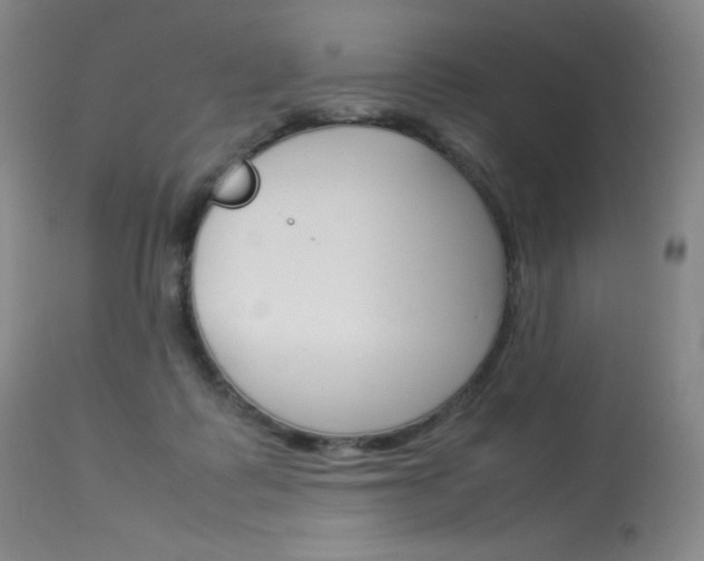 X0000114140315200910081032