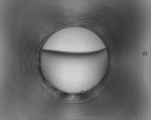 X0000114140319200910081032