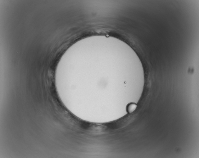 X0000114140321200910081032