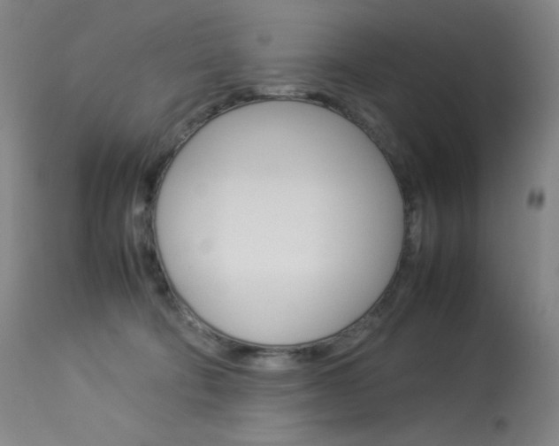 X0000114140322200910081032