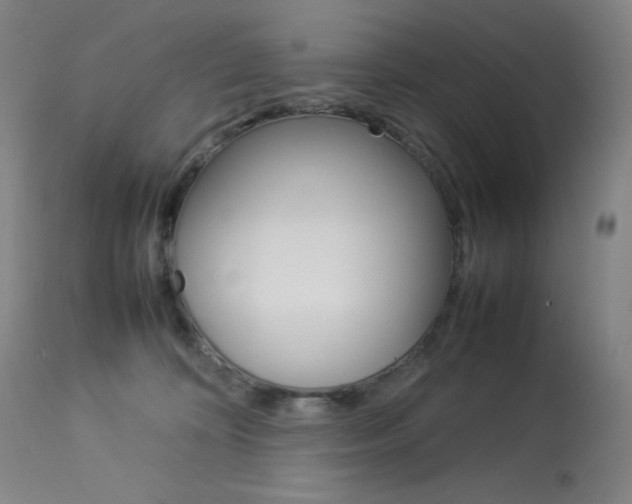 X0000114140324200910081032