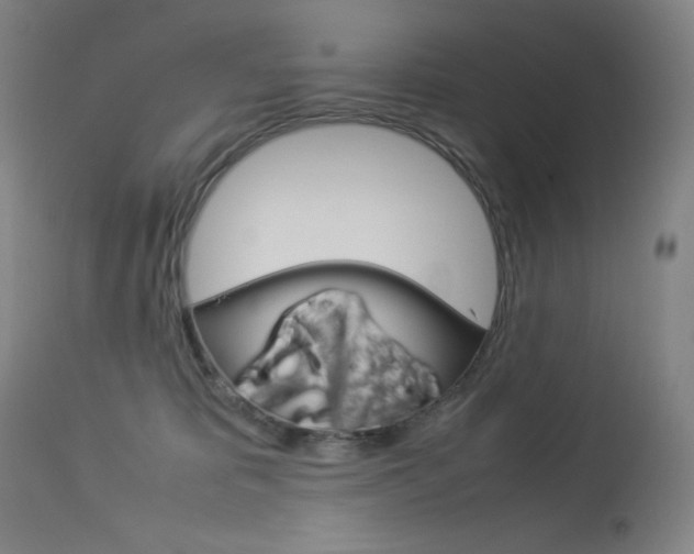 X0000114140325200910081032