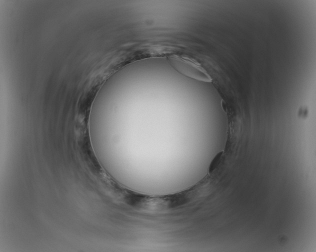 X0000114140327200910081032