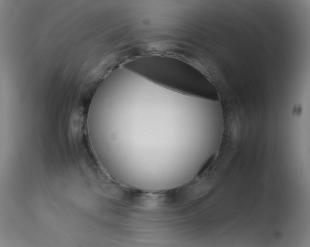 X0000114140328200910081032