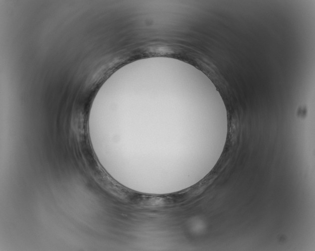 X0000114140330200910081032