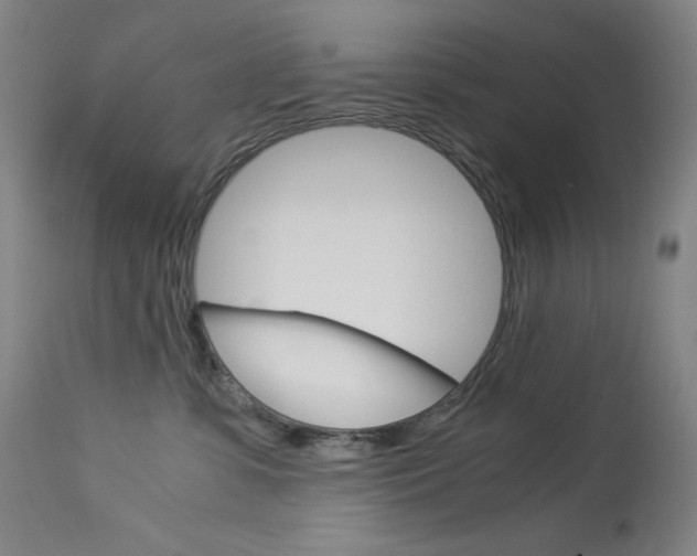 X0000114140331200910081032