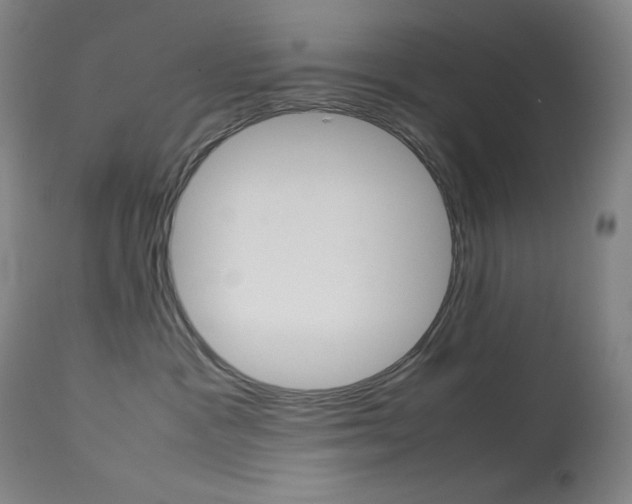 X0000114140333200910081032