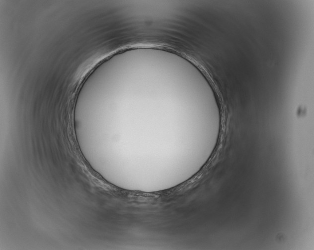 X0000114140337200910081031