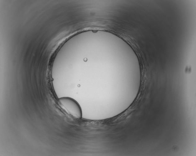 X0000114140338200910081031