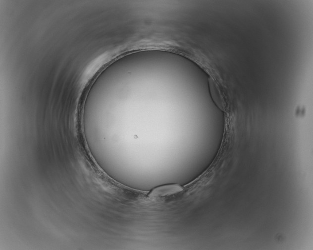 X0000114140340200910081031