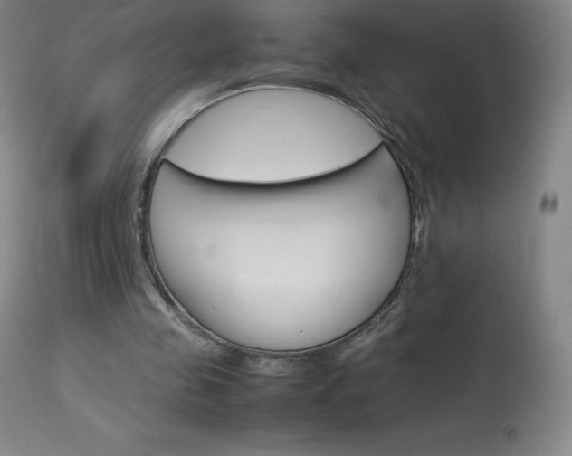 X0000114140341200910081031