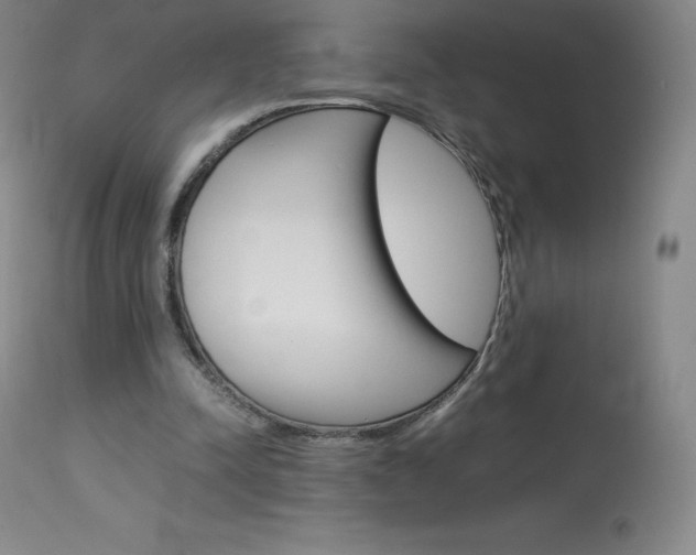 X0000114140342200910081031