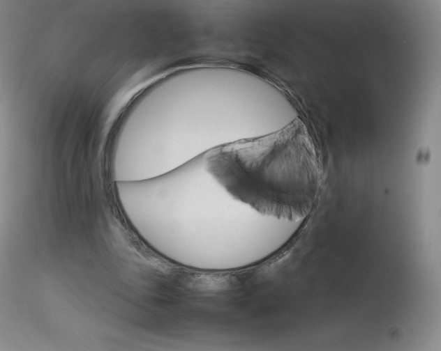 X0000114140343200910081031