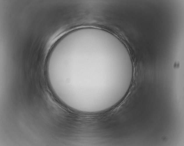 X0000114140344200910081031