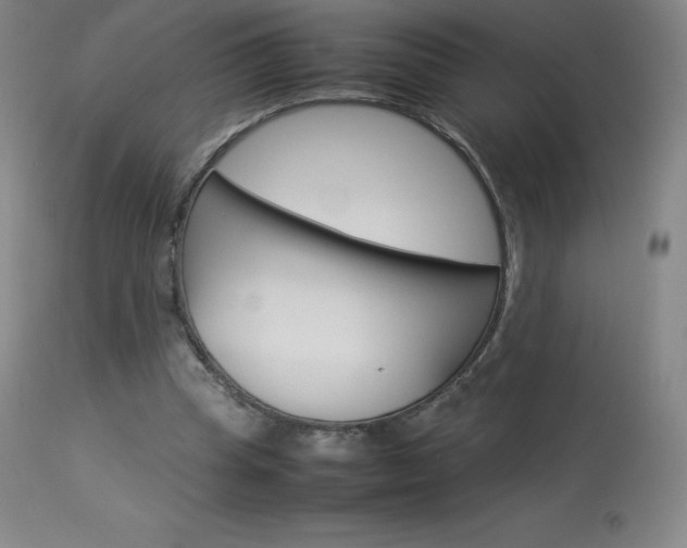 X0000114140345200910081031