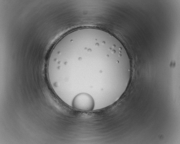 X0000114140346200910081031